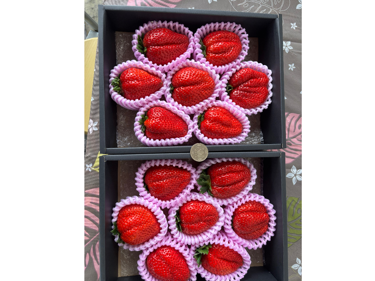 ���ݍ͔|������̂ŁA�����܂��y�ɂ�������肪�ł��܂���