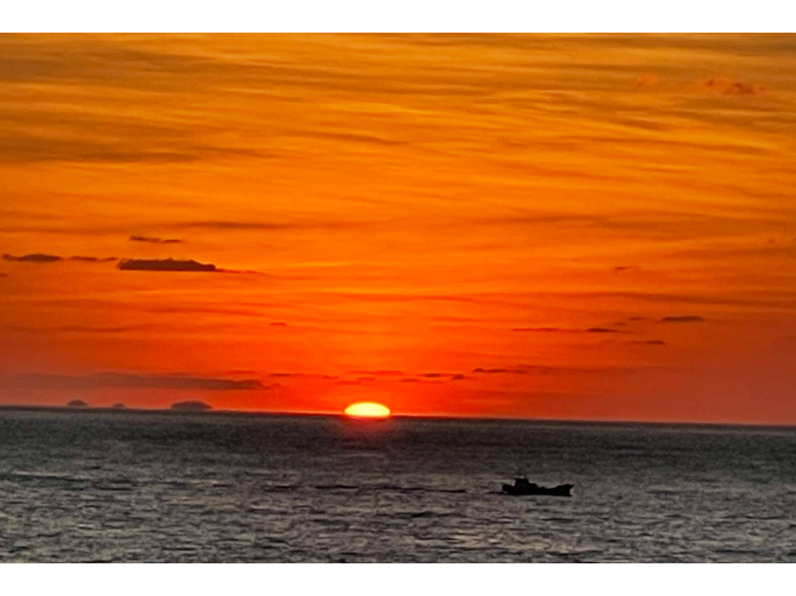 �T���Z�b�g�N���[�W���O�k�^���f�B�[�@�}�����l