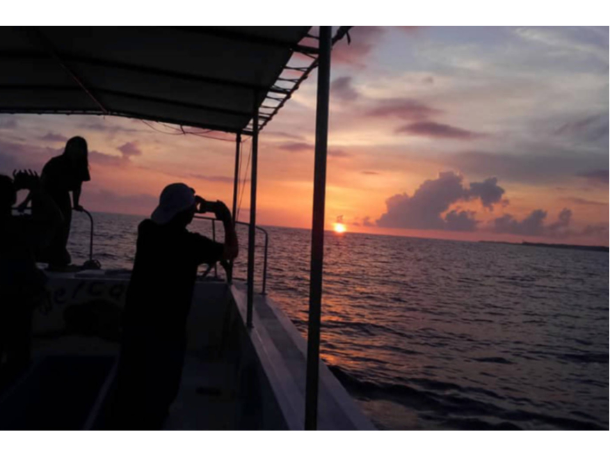 TZbgN[WOk^fB[@}l炬AC݂ɗ䂭[z𒭂߂ȂAIDȎԂ߂B