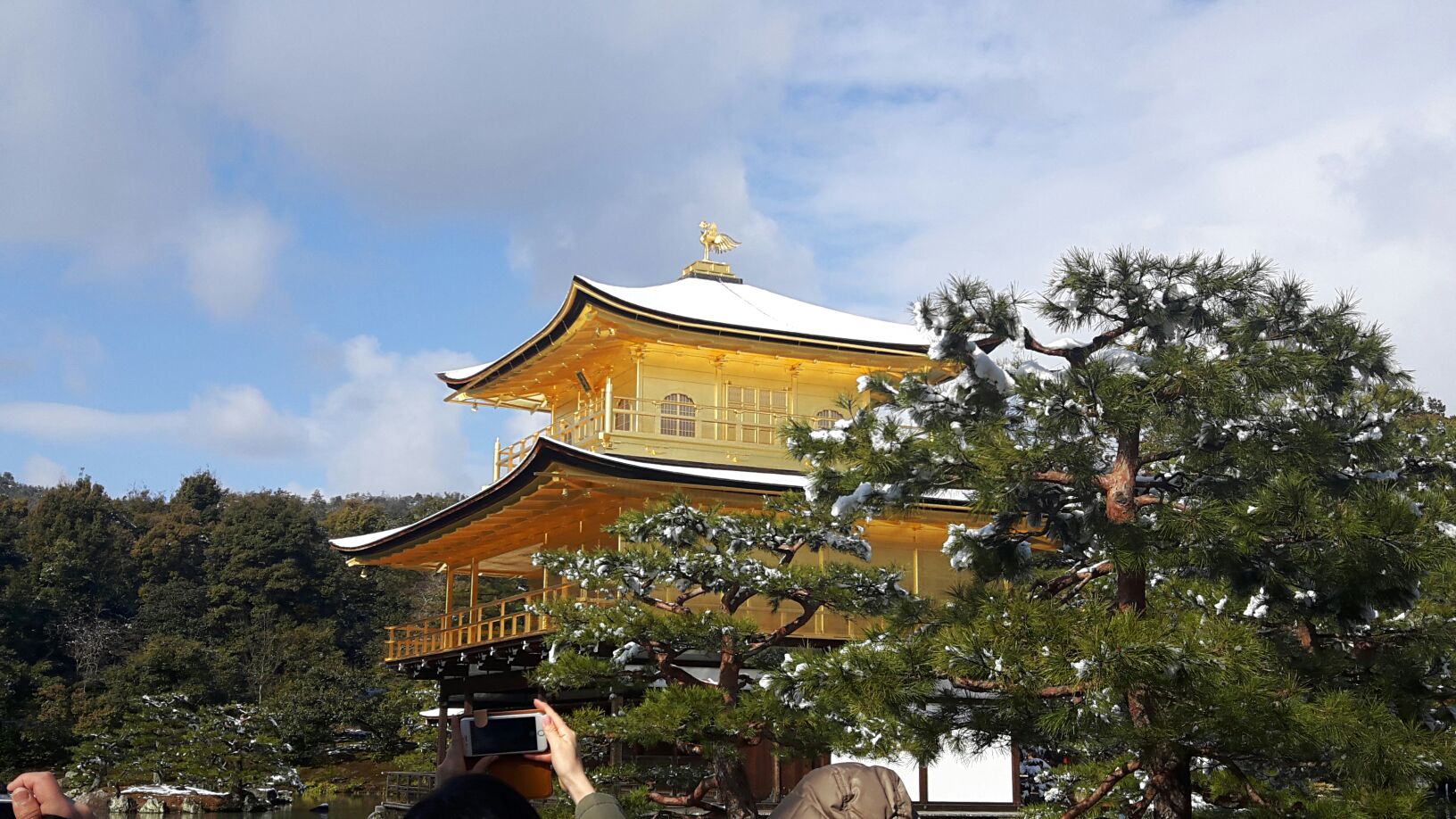 光り輝く気品、是非ご覧くださいね。