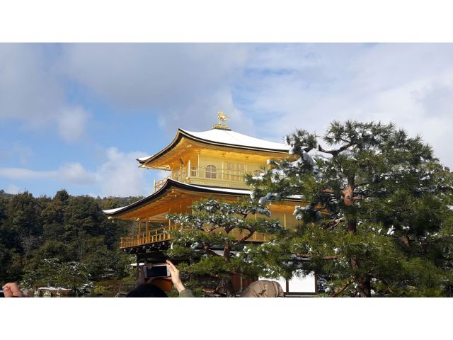 光り輝く気品、是非ご覧くださいね。