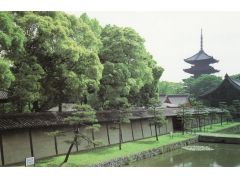 国宝の五重塔は重厚な姿を魅せてくれます♪