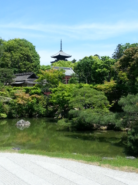 máAcƂ䂩肪[s̒ōłi̍@