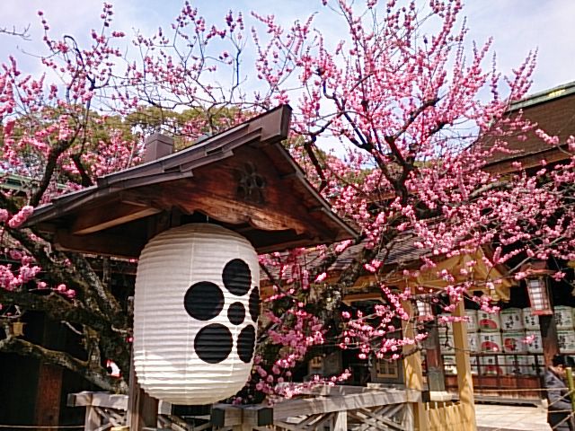 北野天満宮には、古くから伝わる七つの不思議があるんです。
