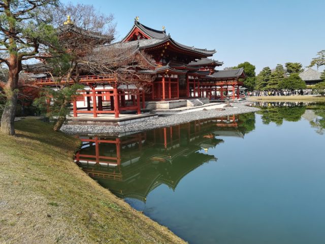 千年の歴史をもつ平等院 宇治 伏見を巡る贅沢プラン たっぷり8時間 観光タクシーで楽々 バスや電車の乗り換えがいらないからゆったり満足度抜群 雅 京都観光タクシー じゃらん遊び体験 千年の歴史をもつ平等院 宇治 伏見を巡る贅沢プラン たっぷり8時間 観光タクシーで楽々 バスや電車の乗り換えがいらないからゆったり満足度抜群 雅 京都観光タクシー じゃらん遊び体験