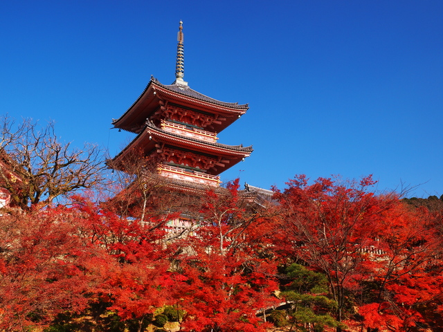 清水寺は見どころがいっぱい♪