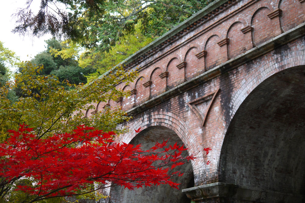 ��T���̐��H�t�A���j��������A�[�`�^�̃����K�̕��i��