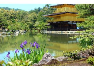 人気の嵐山 映画村でしっかり遊んで たっぷり8時間プラン 観光タクシーで楽々 バスや電車の乗り換えがいらないからゆったりと満足度抜群 雅 京都観光タクシー じゃらん遊び体験