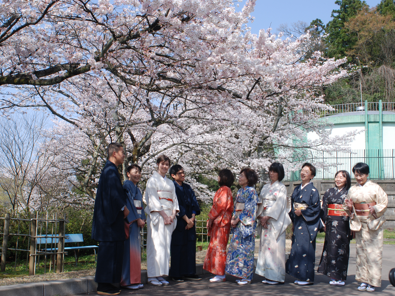 楽天市場 肌着 一部式 和柄 肌着 全３色 ｍ ｌ 街着屋オリジナル ワンピース タイプ 和柄 菊 襟ぐり深め 着物 スリップ 肌着 スリップ 和装 下着 成人式 振袖 肌襦袢 肌じゅばん 裾除け ネコポス 訳あり 赤 黒 灰茶 アイボリー お洒落
