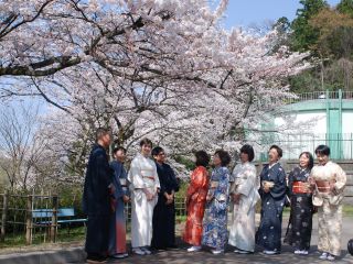 楽天市場 肌着 一部式 和柄 肌着 全3色 m l 街着屋オリジナル ワンピース タイプ 和柄 菊 襟ぐり深め 着物 スリップ 肌着 スリップ 和装 下着 成人式 振袖 肌襦袢 肌じゅばん 裾除け ネコポス 訳あり 赤 黒 灰茶 アイボリー お洒落
