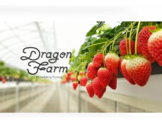 \完全貸切プラン登場/1棟貸切!2名様〜OK♪プライベート空間でいちご狩りを楽しめます!