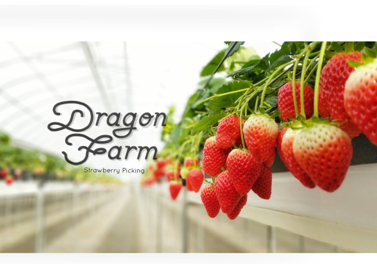 《千葉市・30分食べ食べ放題!最大21種類の食べ比べ》練乳おかわり自由♪ベビーカ...