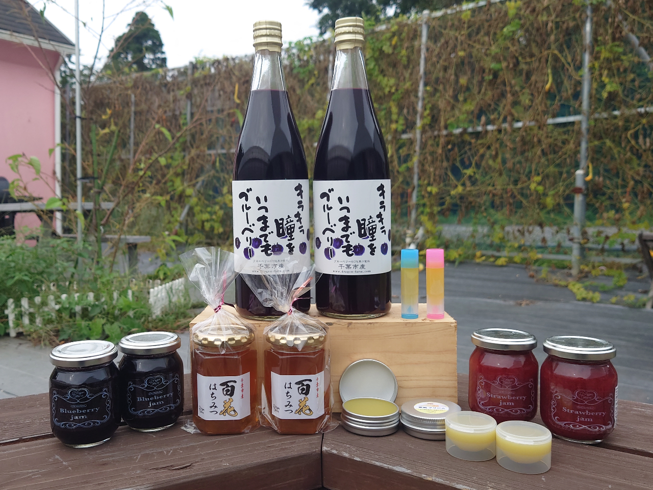 ƐWAIAXN[Au[x[ʏ`hSt@[vCx[giIIyYɐII