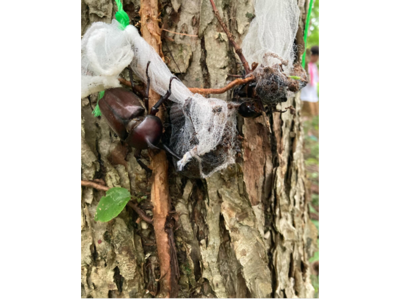 LȎRII^ǂΏo邩HI