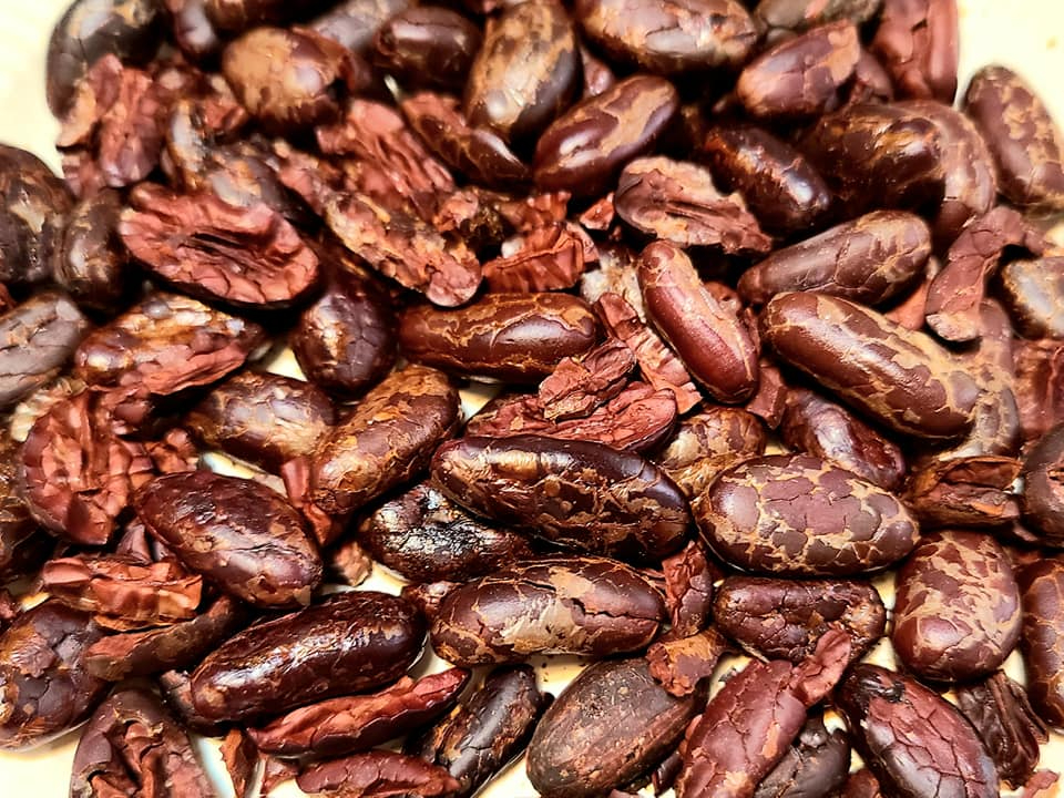 少人数制 カカオ焙煎からのチョコレート作り カカオ豆から手掛け手作りします カップル 親子 友人にもオススメ 所要時間2時間 広島の珈琲 家庭焙煎教室と生豆 焙煎豆販売のお店 Caffe Fresco Nagi じゃらん遊び体験