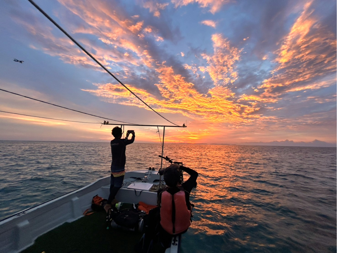 D璭߂[B₩Ȕg̉𕷂Ȃ厩RĂB