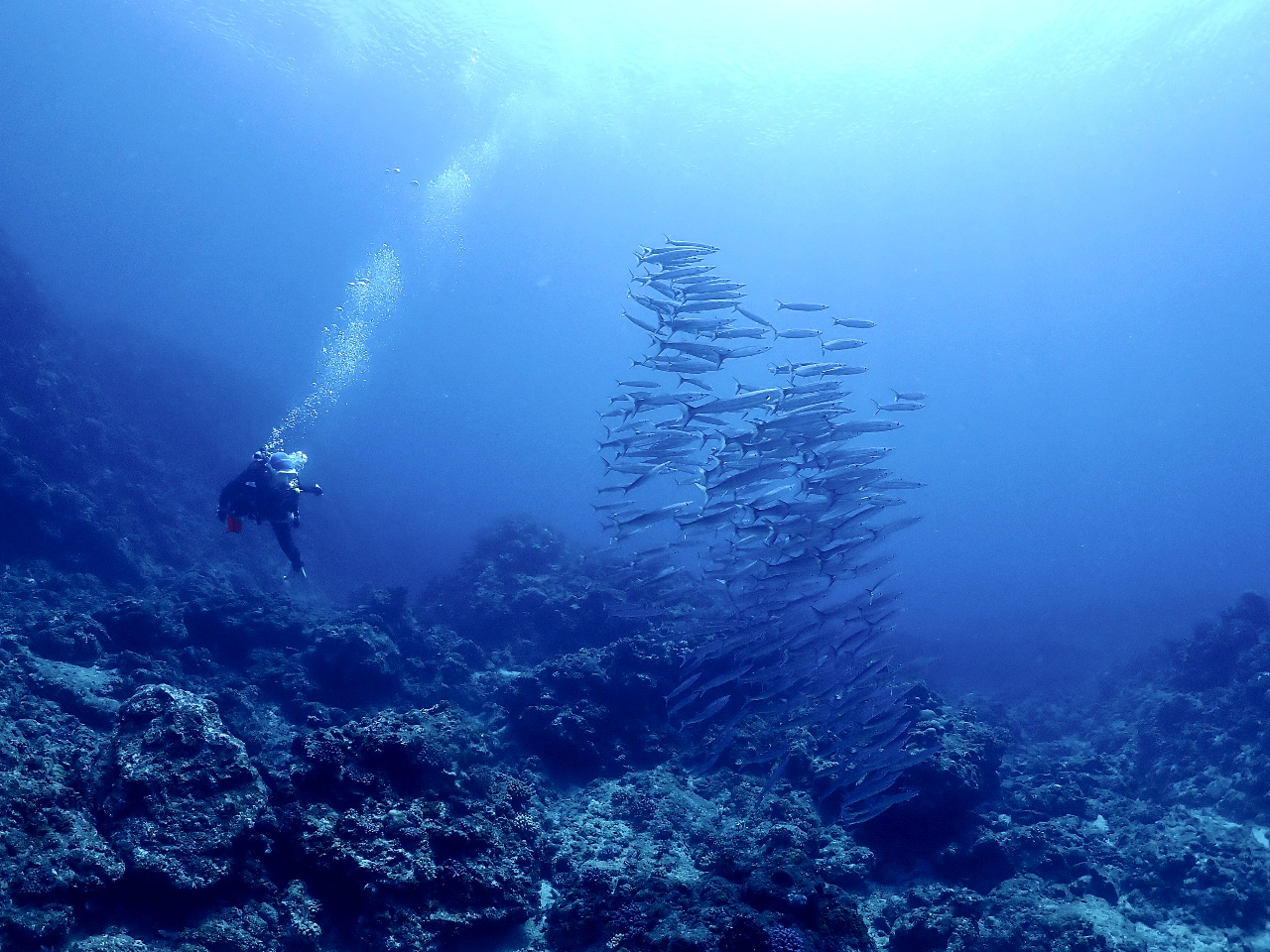 Q啨ɏo|CgBCǂ΍s܂傤I