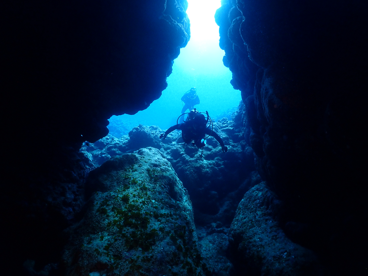 _Ci~bNȓAGALBCǂ΍s܂