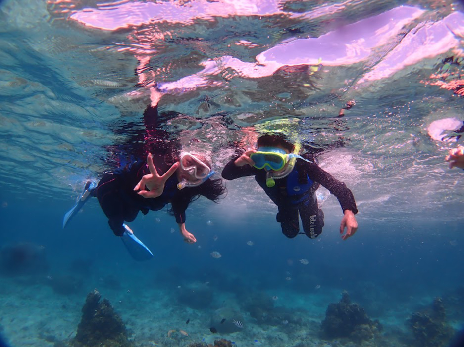 �v���o���̃T�|�[�g�������܂��I