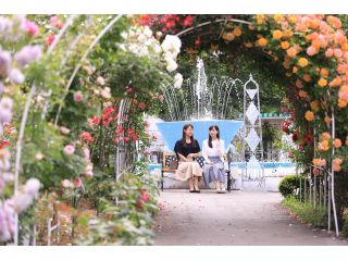 花巻温泉 バラ園 平日 期間限定 バラ園入場チケットプラン 花巻温泉 バラ園 じゃらん遊び体験 花巻温泉 バラ園 平日 期間限定 バラ園入場チケットプラン 花巻温泉 バラ園 じゃらん遊び体験