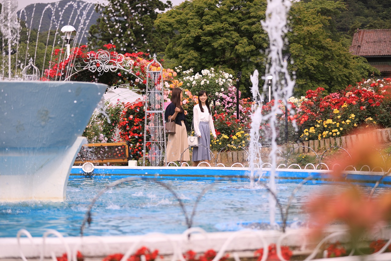 花巻温泉 バラ園 平日 期間限定 バラ園入場チケットプラン 花巻温泉 バラ園 じゃらん遊び体験