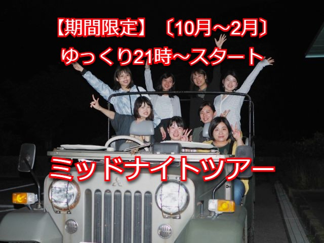 【期間限定】21時～スタートのミッドナイトツアー