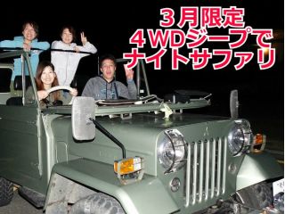 奄美ナイトツアーサービスはナイトツアー専門ガイドです 4WDジープでナイトサファリツアー 『たくさん生き物が見れる』時間に出発します