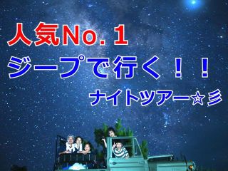 奄美大島のナイトツアー専門会社で最も長く、楽しさ・遭遇率・実績No.1
