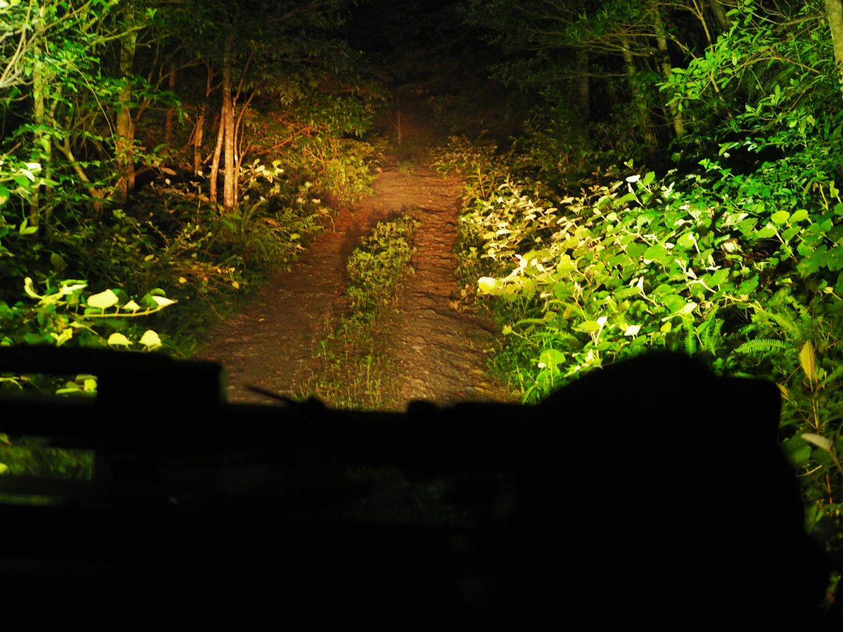 �����哇�ł������킦�Ȃ��A���A���W�����O���N���[�Y�I�I �厩�R�̐X�̉��֐i��ŗl�X�Ȑ������������ώ@���܂��傤�B