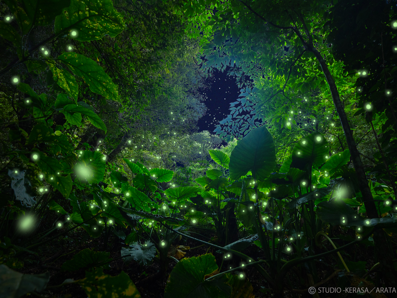 ���{��̌u�����I���܂Ō������Ƃ��Ȃ������u