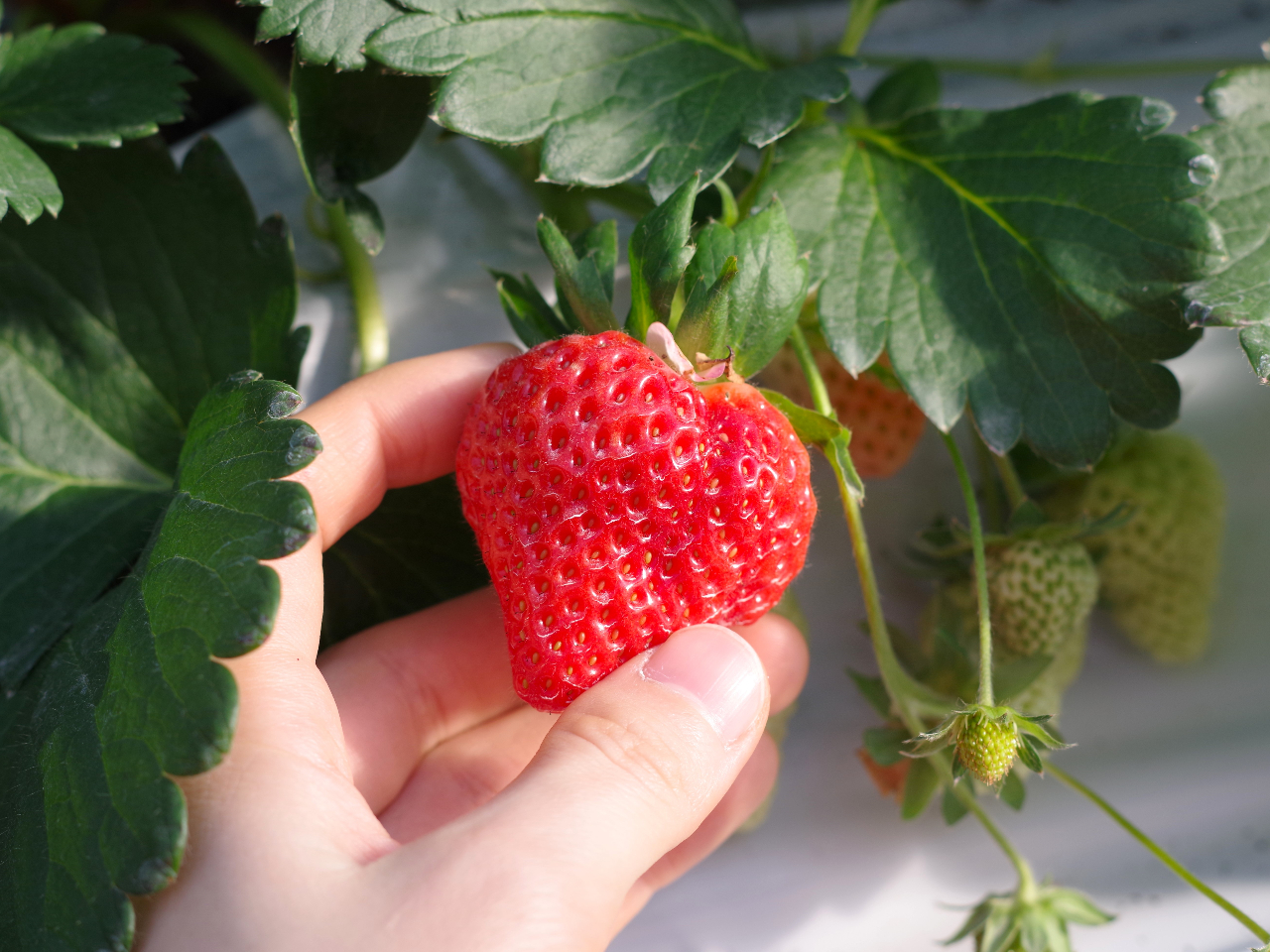 ���������n