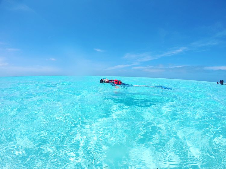 アクアベースのレジャー アクティビティ じゃらん遊び体験