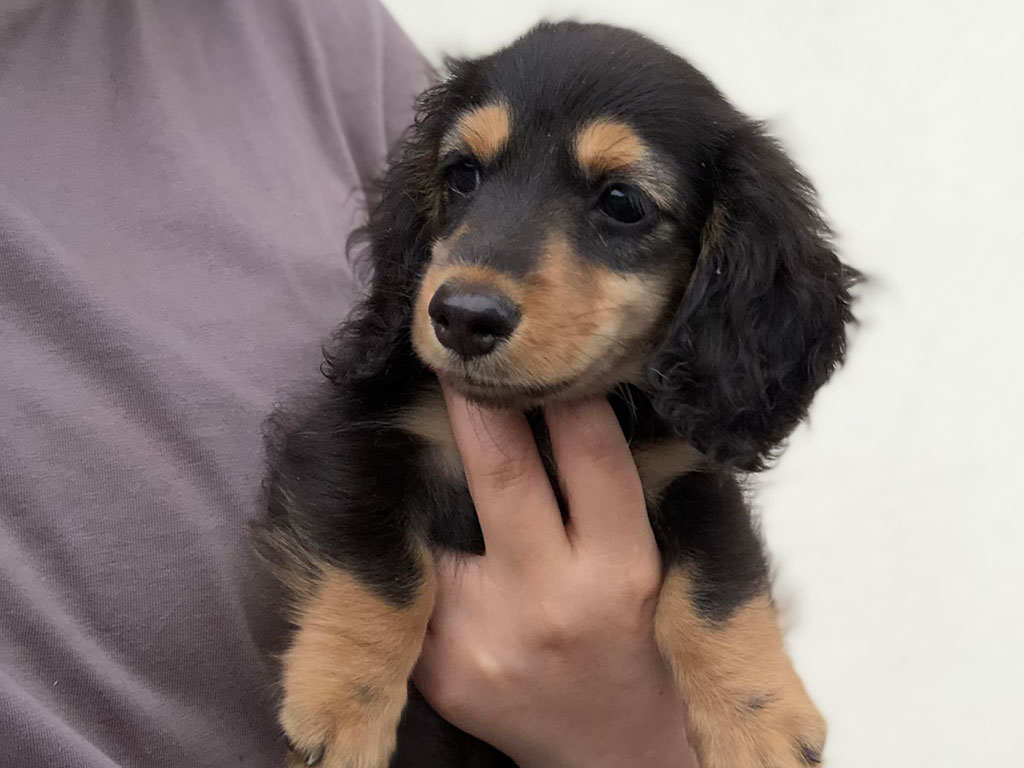 ƂGꍇ܂IqƂ܂̂Ńz[y[WmFI