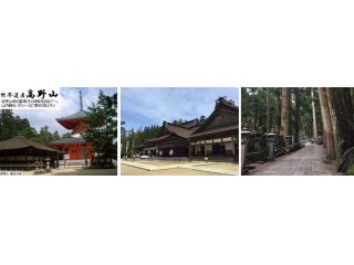 和歌山県高野町 高野山内を巡るタクシープラン 3時間コース 有鉄観光タクシー じゃらん遊び体験 和歌山県高野町 高野山内を巡るタクシープラン 3時間コース 有鉄観光タクシー じゃらん遊び体験
