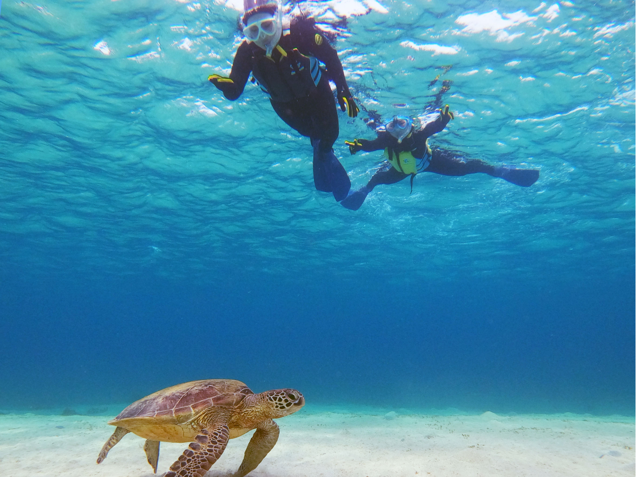 透明度がいい時は水中の中はとっても綺麗♪