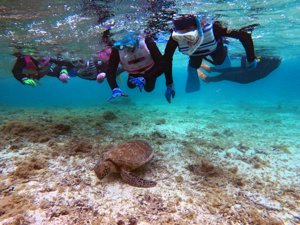 子供たちにとってもこれは初めての経験です!