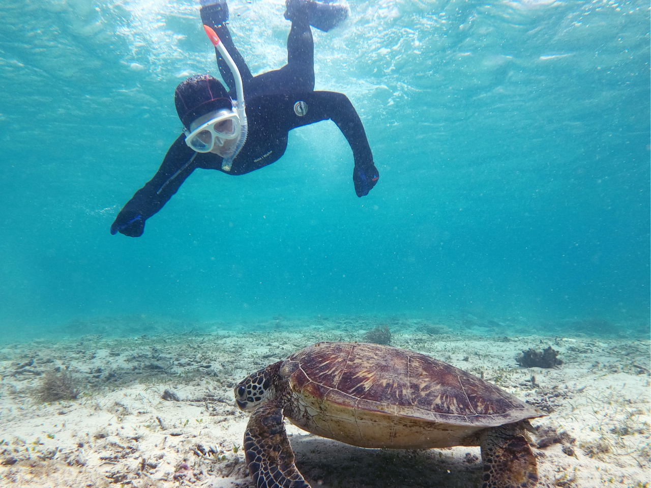 󐣂Ɛ[1.5m炢̏ɂ邱ƂI