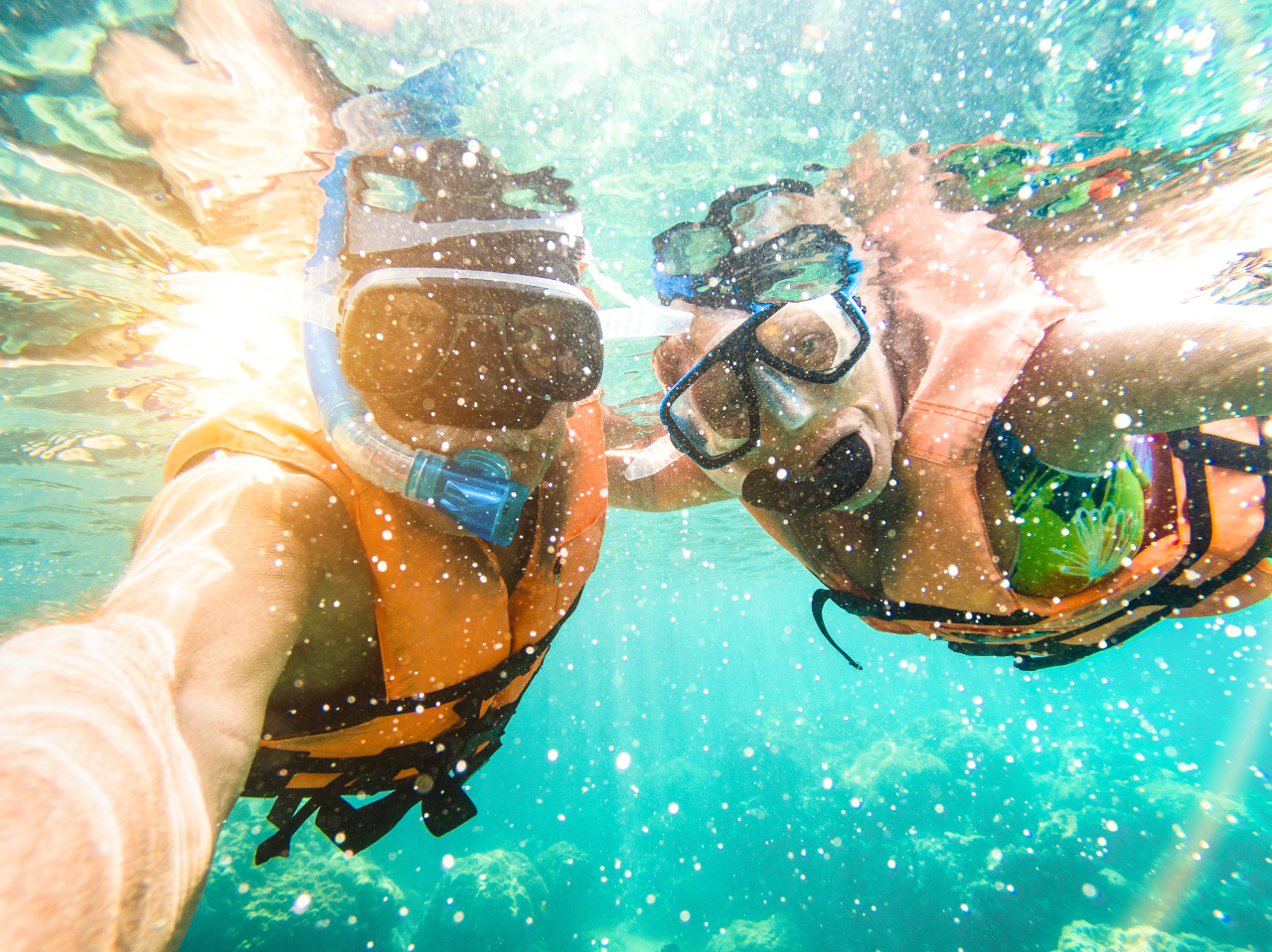 写真や動画もプレゼント