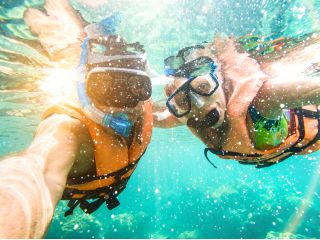 写真や動画もプレゼント