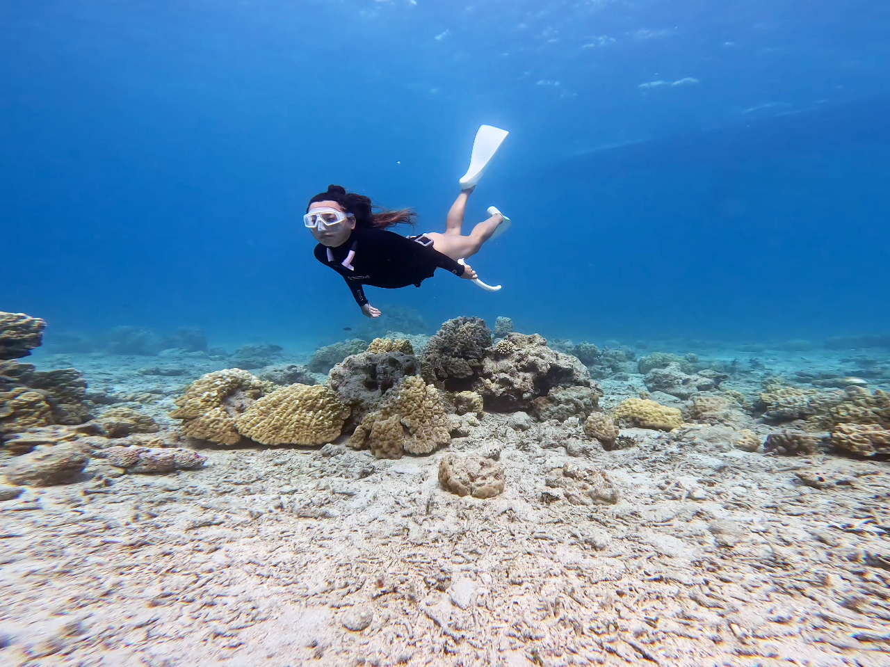 海の中を自由に泳ごう!