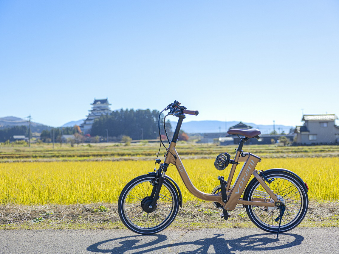 e-bikeŏRsNNViR锎فj