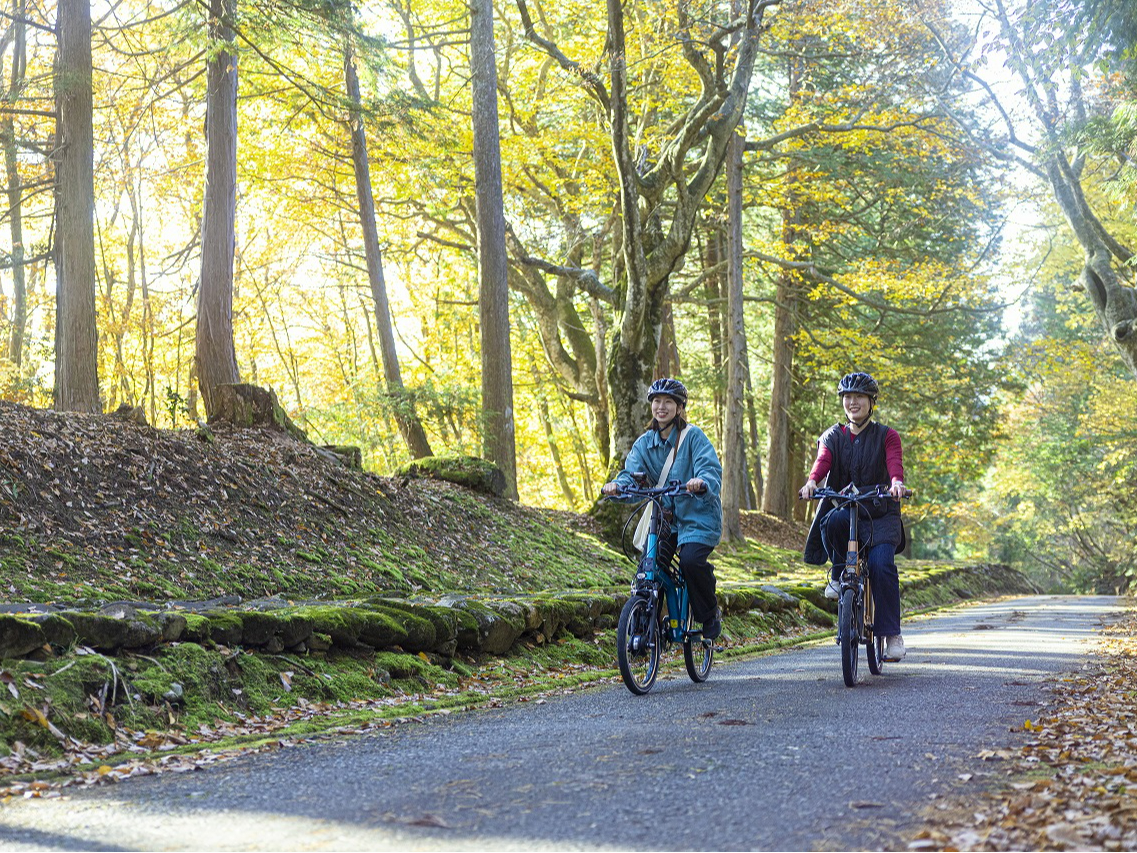 ⓹e-bikeŃNNVi򎛔R_Ёj