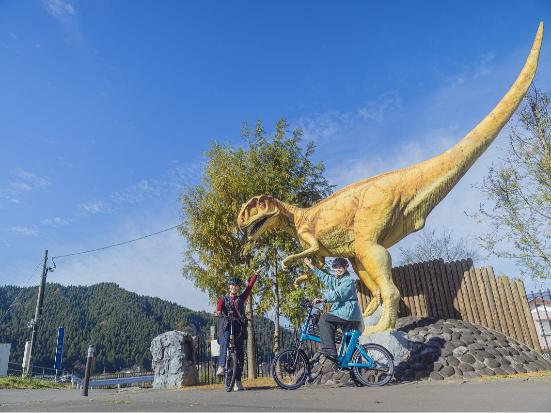 e-bikeŏRsNNViREtNCvgj