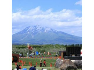 地域共通クーポン対象 弘前市内観光1時間コース 三ツ矢交通株式会社 じゃらん遊び体験 地域共通クーポン対象 弘前市内観光1時間コース 三ツ矢交通株式会社 じゃらん遊び体験