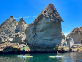 松島には様々な形をした島が約260箇所も点在してます。