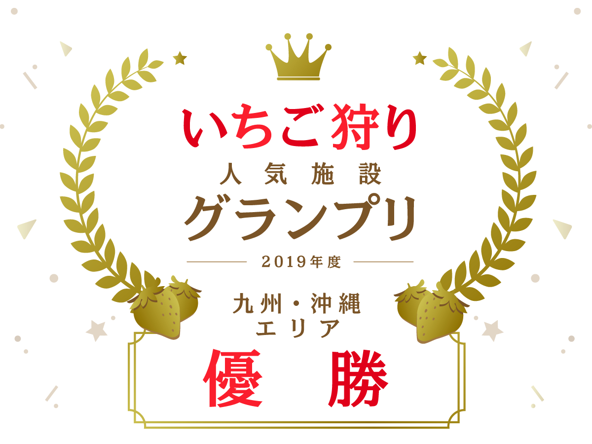 狩り 久留米 いちご