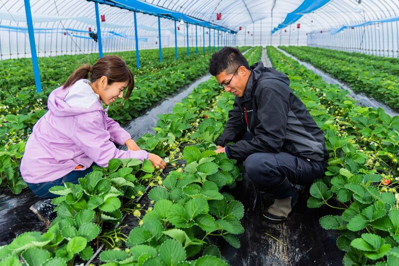 L@엿gAՂ蒚JɈĂĂ܂ÎȂ̓yk͔|łB