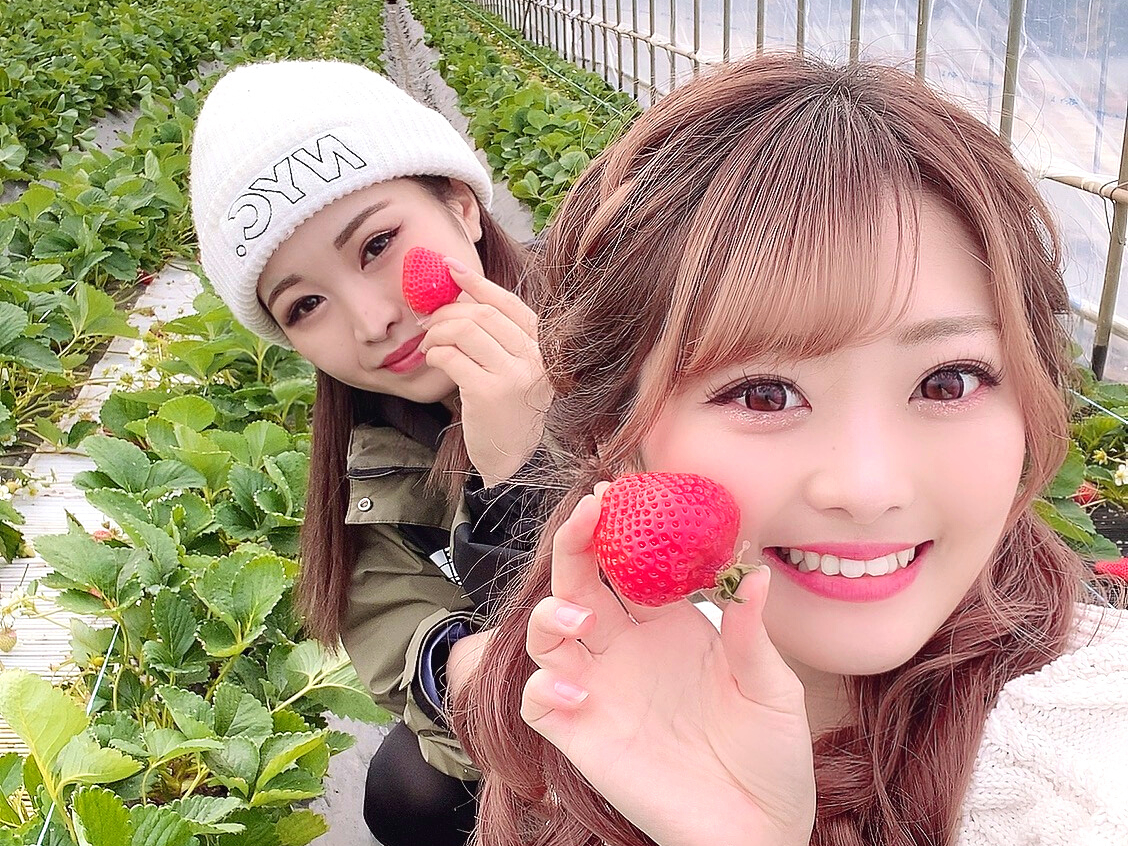 大人も子ども目線になって楽しくいちご狩り♪