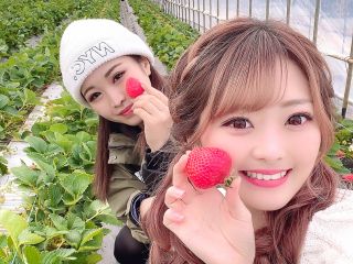 大人も子ども目線になって楽しくいちご狩り♪