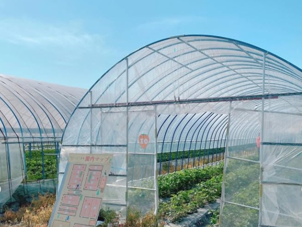 rj[nEX͔NX݁I܂̖ʐς́AȂƓ{III